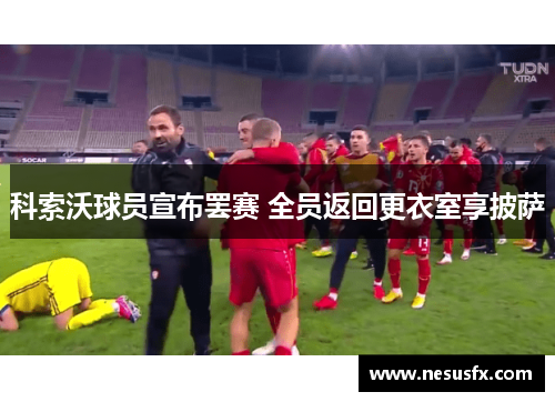 科索沃球员宣布罢赛 全员返回更衣室享披萨